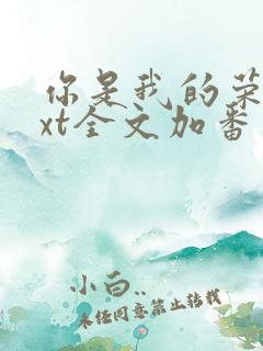 你是我的荣耀txt全文加番外