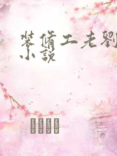 装修工老刘林雪小说