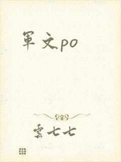 军文po