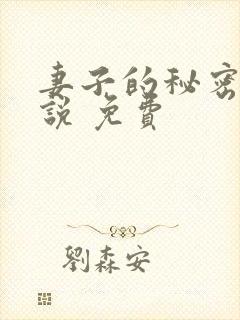 妻子的秘密 小说 免费