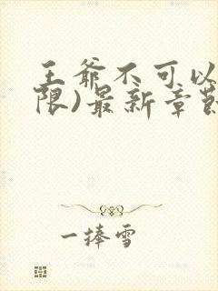 王爷不可以!(限)最新章节