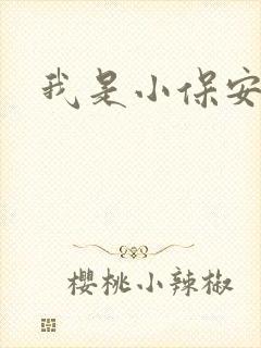 我是小保安