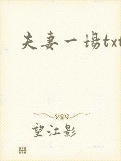 夫妻一场txt