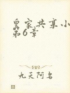 皇家共享小公主第6章