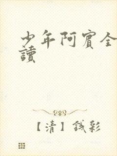 少年阿宾全集阅读
