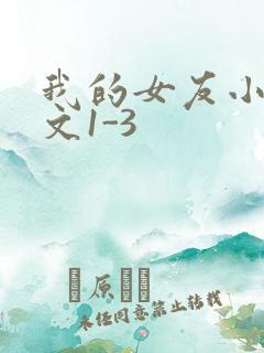 我的女友小洁全文1-3