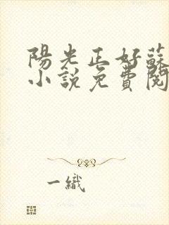 阳光正好苏玥玥小说免费阅读