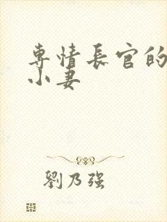 专情长官的天价小妻