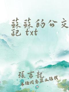 苏苏的公交车日记 txt