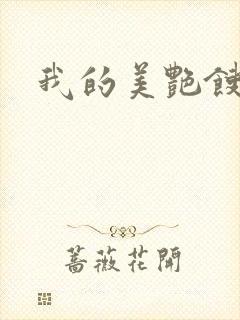 我的美艳馊子