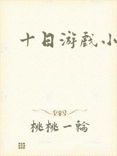 十日游戏小说