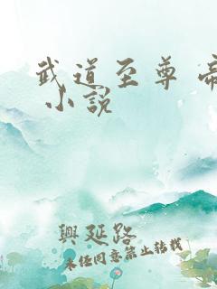 武道至尊 帝临 小说