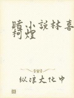 赌小说林喜朝和柯煜