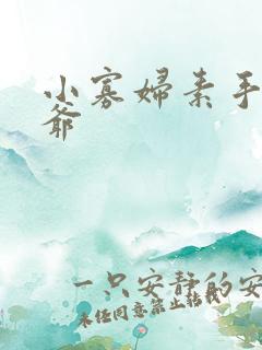小寡妇素手擒四爷
