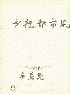 少龙都市风流行