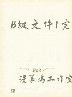 B级文件1完整