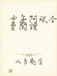 少年阿斌全文免费阅读