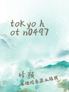 tokyo hot n0497