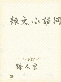 辣文小说网