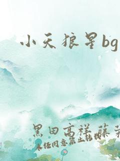 小天狼星bg