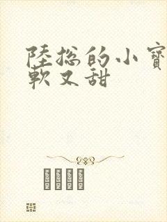 陆总的小宝贝又软又甜