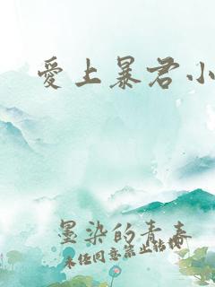 爱上暴君小甜心