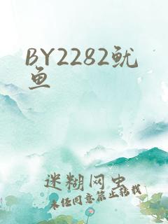 BY2282鱿鱼