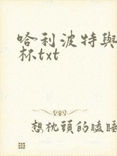 哈利波特与火焰杯txt