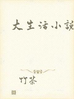 大生活小说