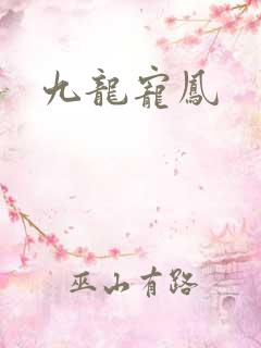 九龙宠凤