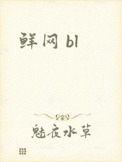 鲜网 bl