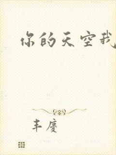 你的天空我的城