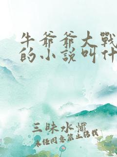 牛爷爷大战小丽的小说叫什么