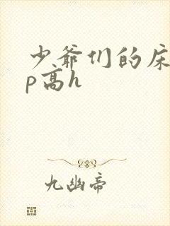 少爷们的床奴np高h