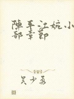 阵平江婉小说全部章节