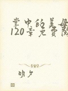 掌中的美母版主120章免费阅读