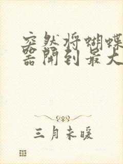 突然将蝴蝶遥控器开到最大