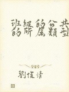 班级的公共小0的所属类型