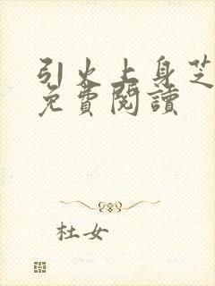 引火上身芝麻糖免费阅读