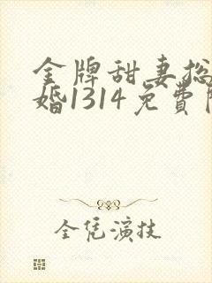 金牌甜妻总裁宠婚1314免费阅读