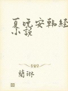 夏晚安韩经年的小说