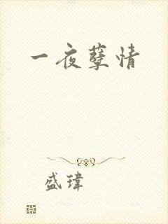 一夜孽情