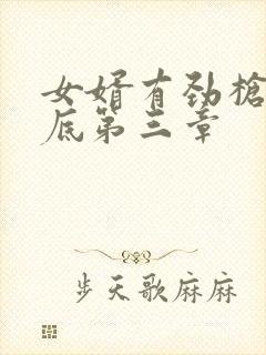 女婿有劲枪枪到底第三章