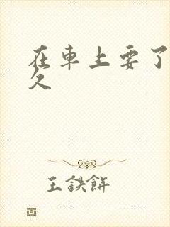 在车上要了我很久