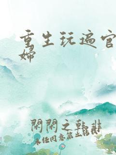 重生玩遍官场贵妇