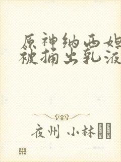 原神纳西妲身体被捅出乳液