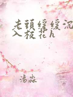 老头缓缓沉腰进入校花h