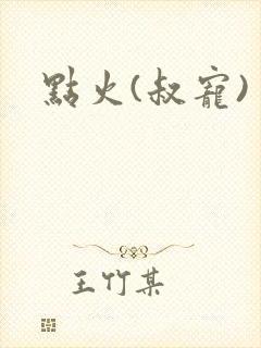 点火(叔宠)