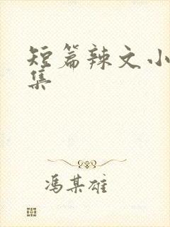 短篇辣文小说合集