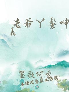 老爷丫鬟呻吟高h